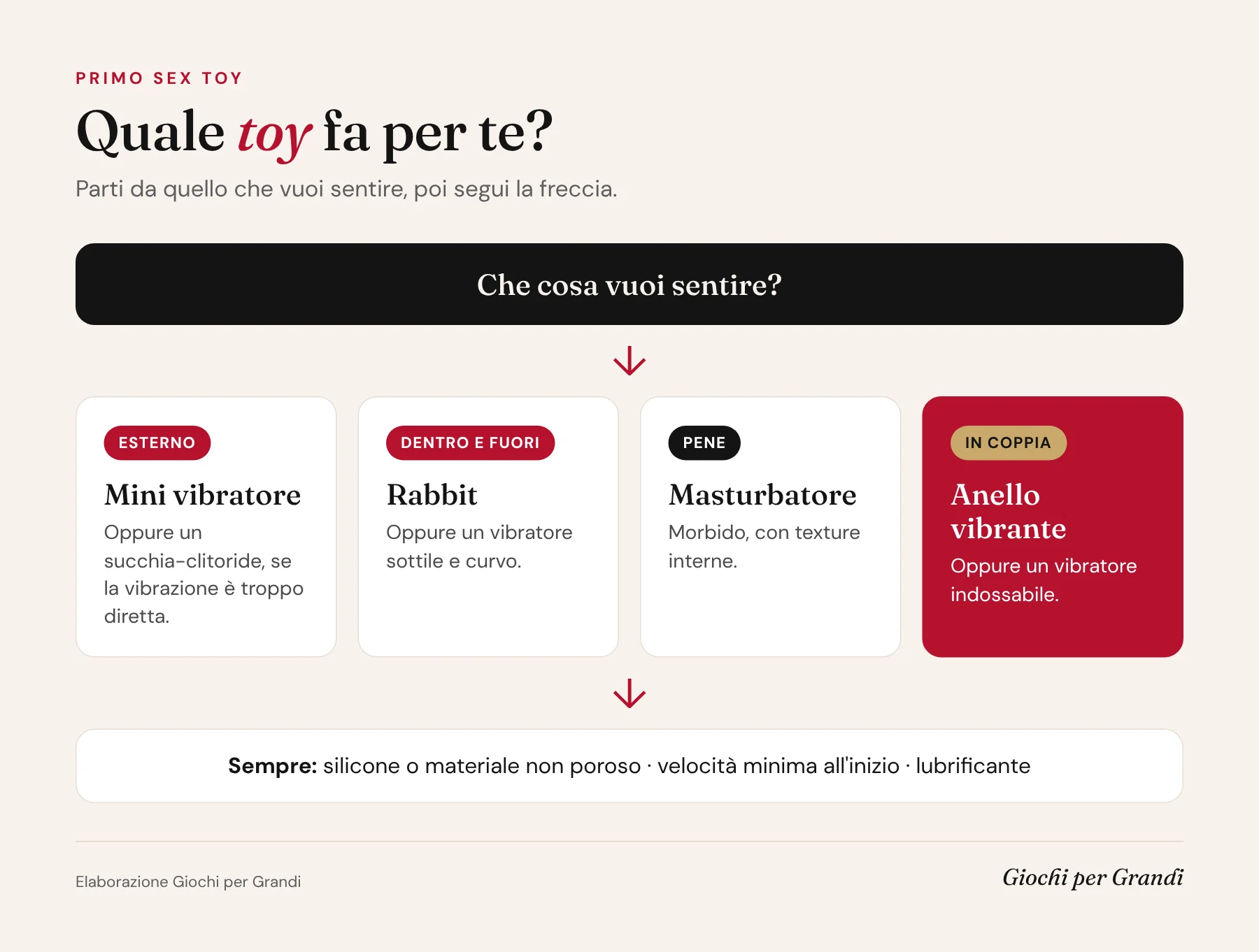 Infografica sul primo sex toy: schema per scegliere tra mini vibratore, rabbit, masturbatore e anello vibrante in base a ciò che si vuole sentire